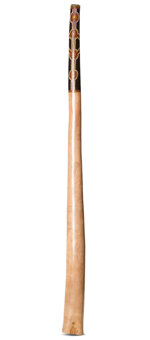 Jesse Lethbridge Didgeridoo (JL195)